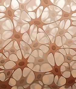 Zellstruktur einer Stielwarze im Gewebe des menschlichen Körpers